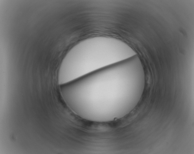 X0000114610559200910200943