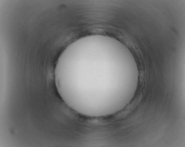 X0000114610561200910200943