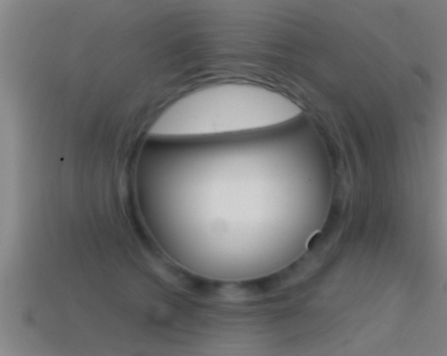 X0000114610562200910200943