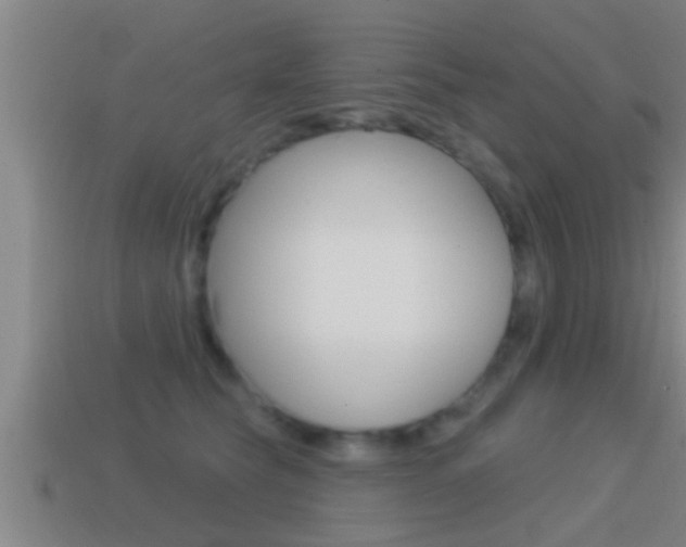 X0000114610565200910200943
