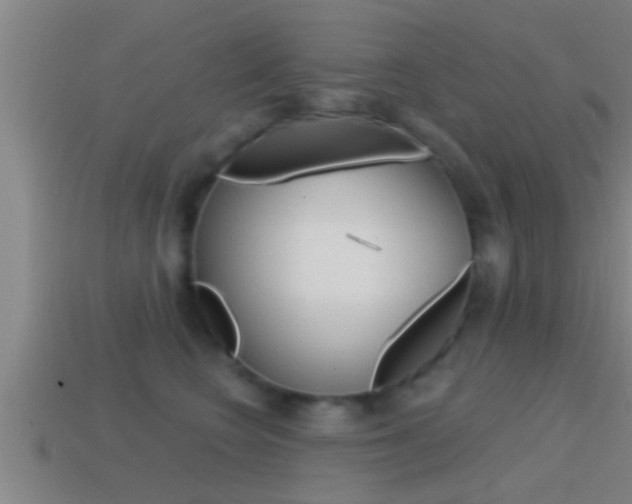 X0000114610566200910200943