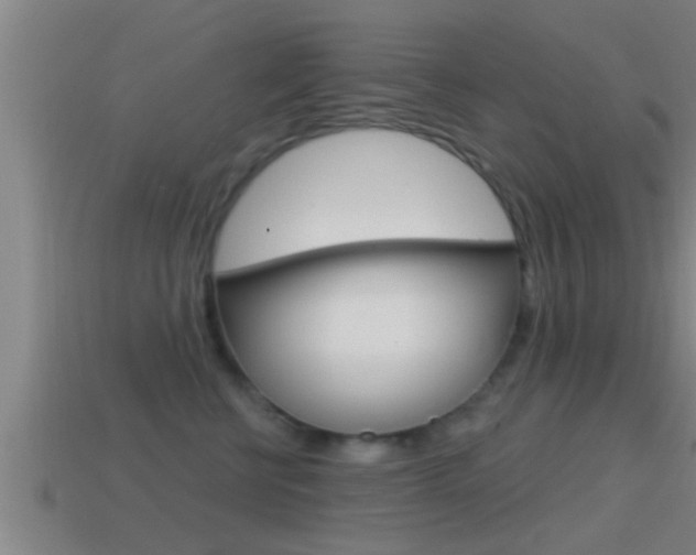 X0000114610570200910200943