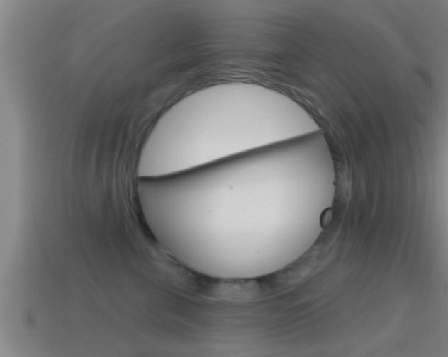 X0000114610571200910200943