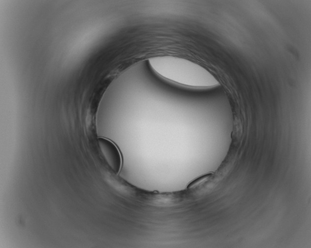 X0000114610574200910200943