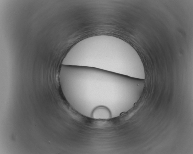 X0000114610575200910200943