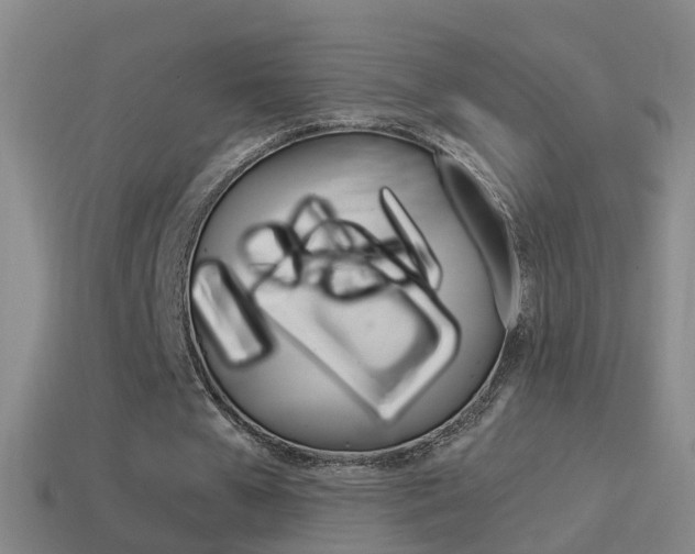 X0000114610577200910200942