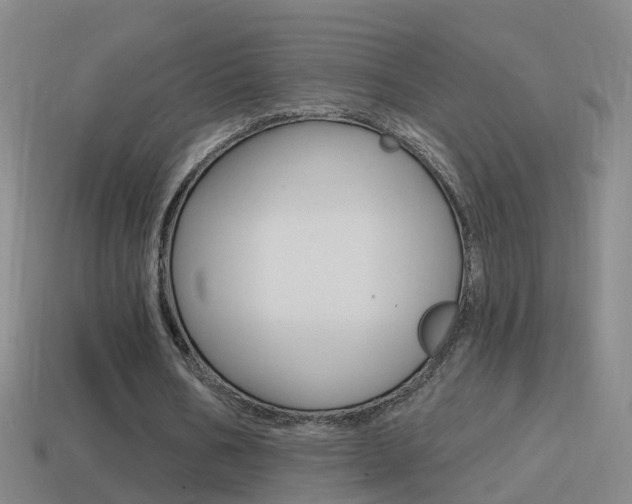 X0000114610578200910200942
