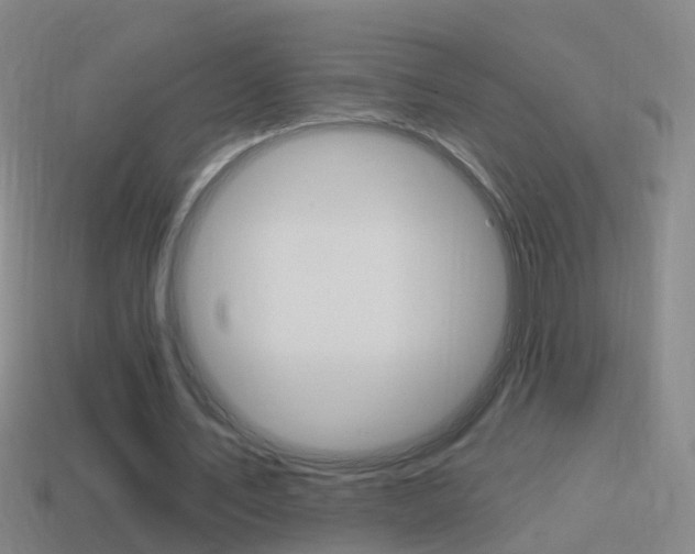 X0000114610579200910200942
