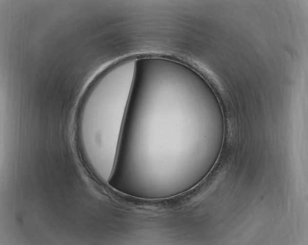 X0000114610580200910200942