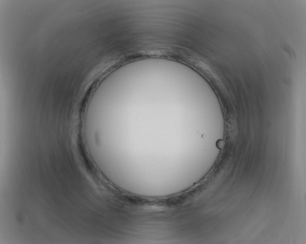 X0000114610586200910200942