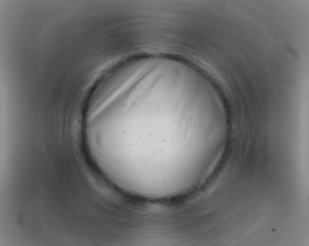 X0000114610592200910200942