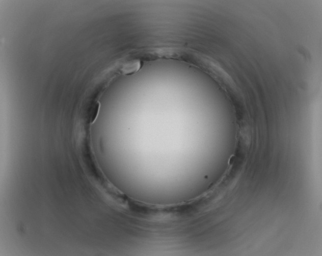 X0000114610593200910200942