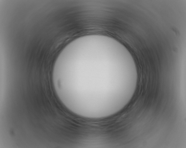 X0000114610595200910200942