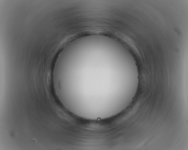 X0000114610596200910200942