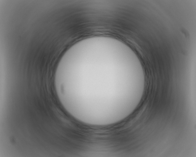 X0000114610597200910200942