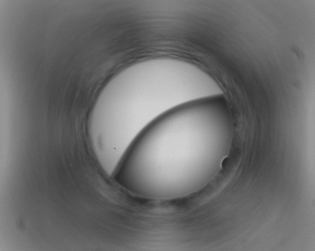 X0000114610601200910200942