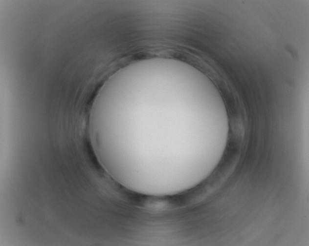 X0000114610602200910200942
