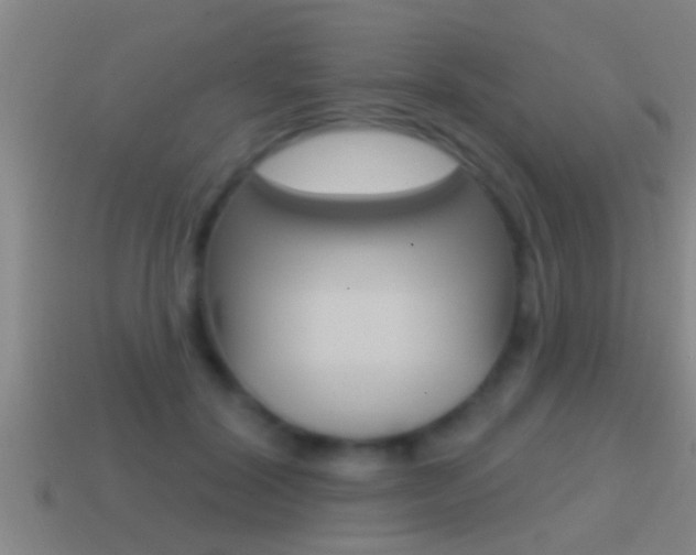X0000114610604200910200942