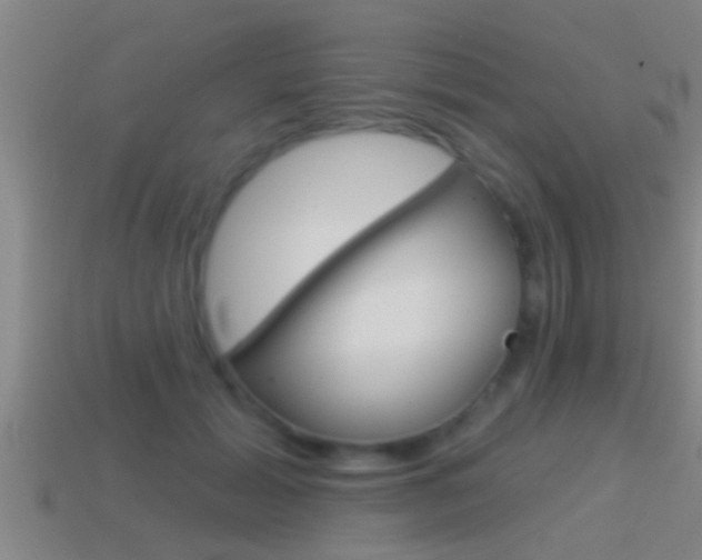 X0000114610605200910200942