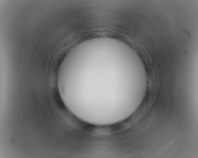 X0000114610606200910200942