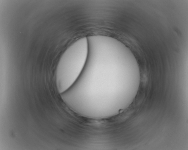 X0000114610607200910200942