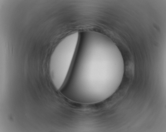 X0000114610608200910200942
