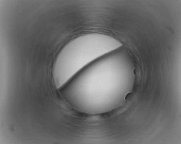 X0000114610609200910200942