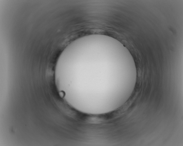 X0000114610614200910200942