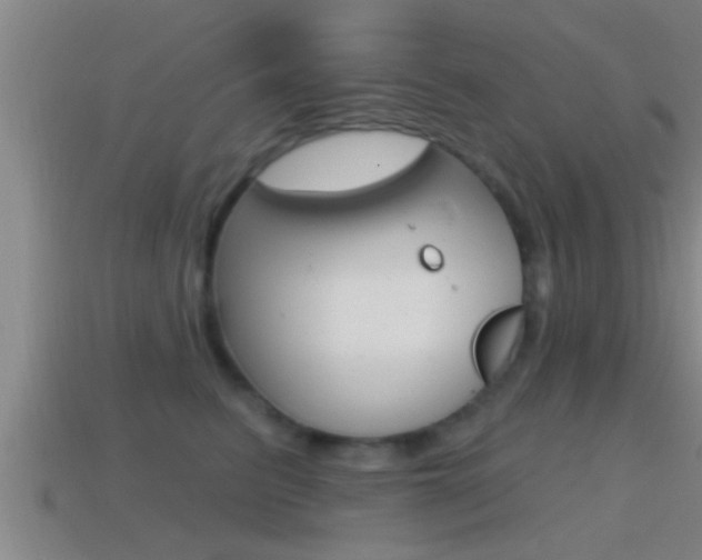 X0000114610615200910200942
