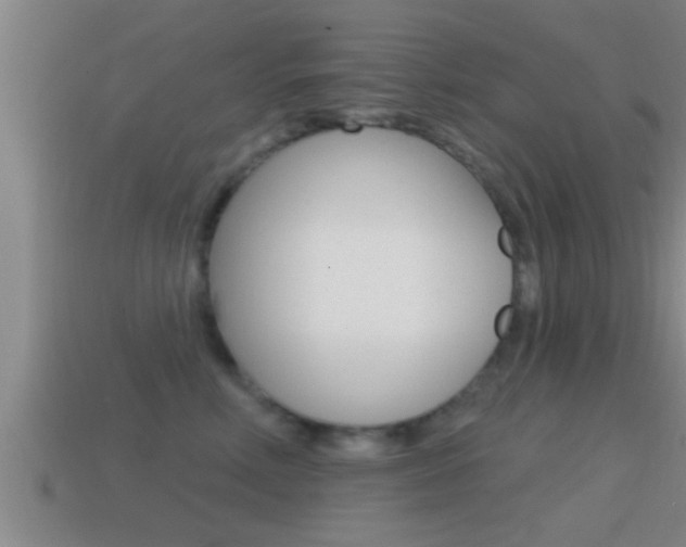 X0000114610618200910200942