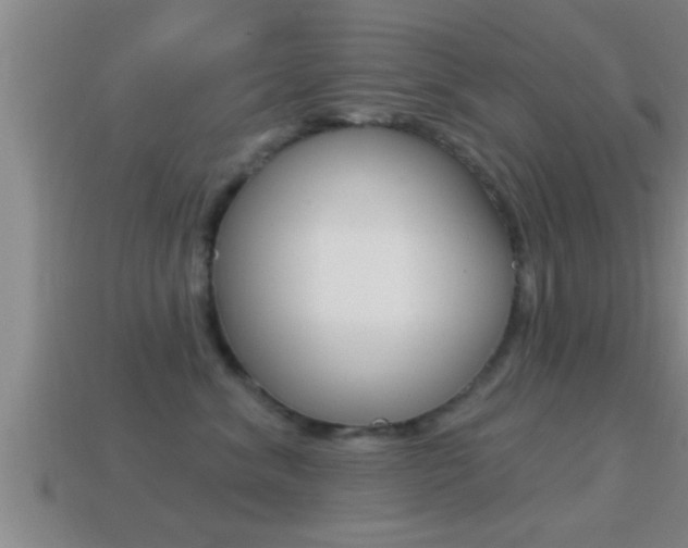 X0000114610620200910200942