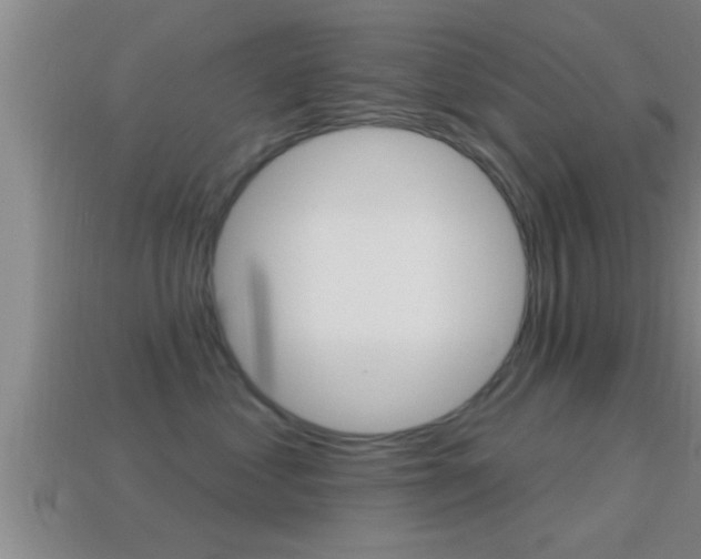 X0000114610621200910200942