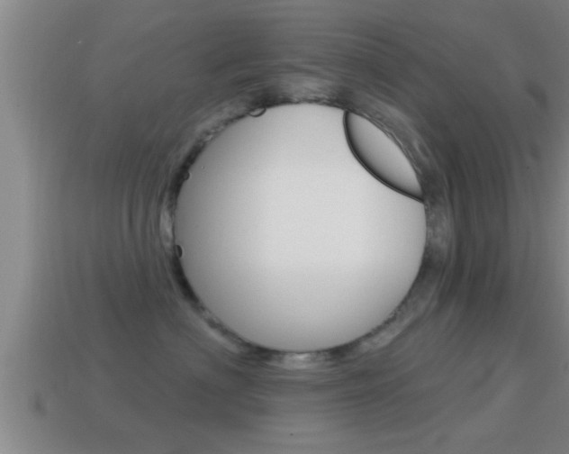 X0000114610622200910200942