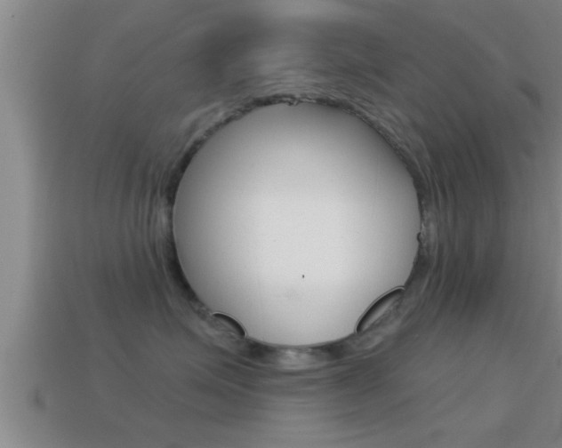 X0000114610623200910200942
