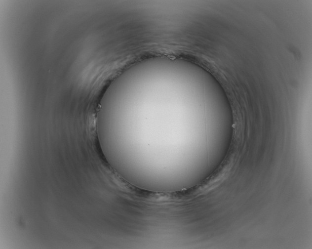 X0000114610624200910200942