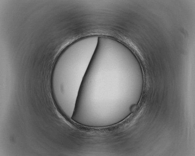 X0000114610625200910200941