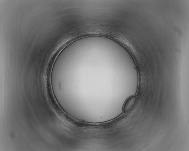 X0000114610626200910200941