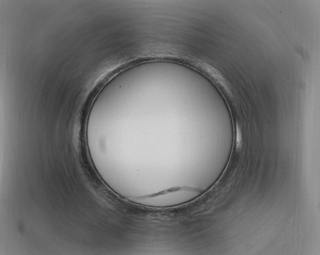 X0000114610627200910200941