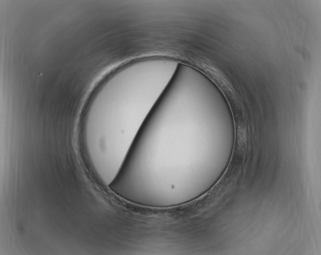 X0000114610628200910200941