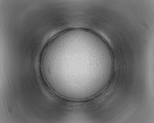X0000114610631200910200941