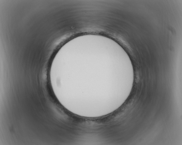 X0000114610632200910200941