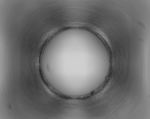 X0000114610633200910200941