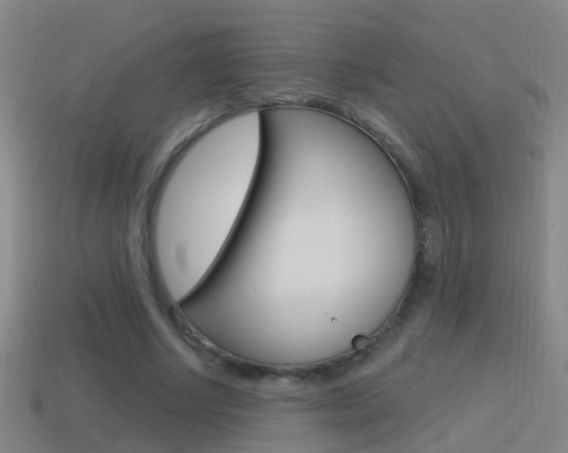 X0000114610634200910200941
