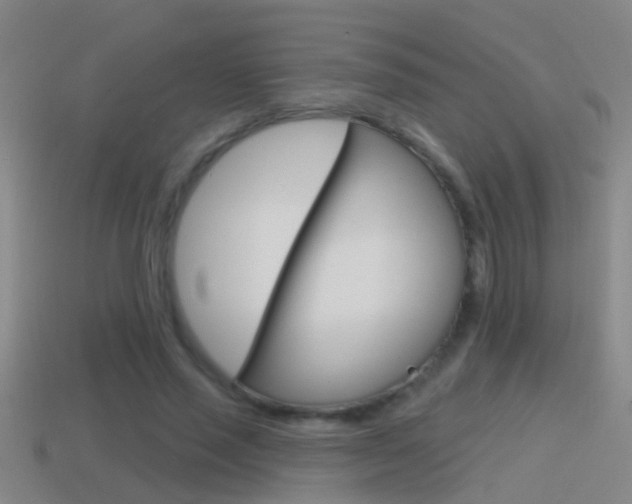 X0000114610637200910200941