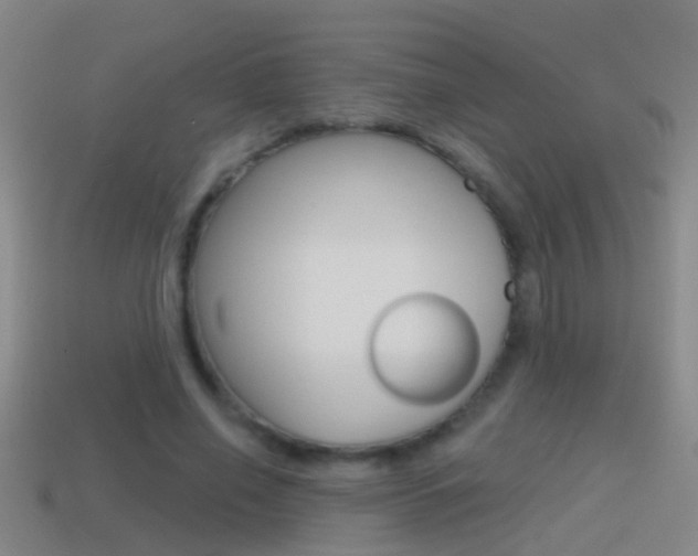 X0000114610638200910200941