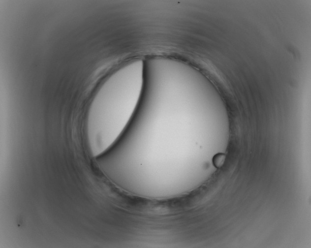 X0000114610640200910200941