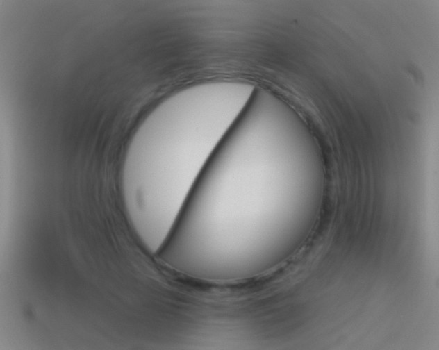 X0000114610641200910200941