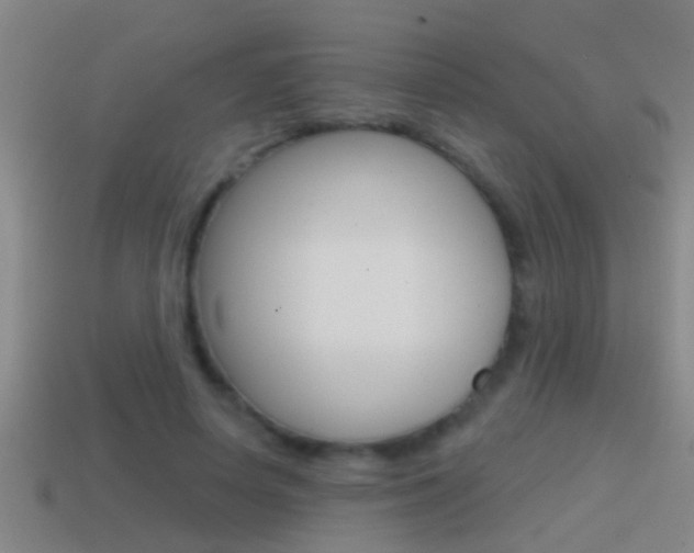 X0000114610642200910200941
