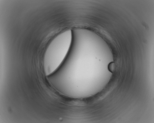 X0000114610644200910200941