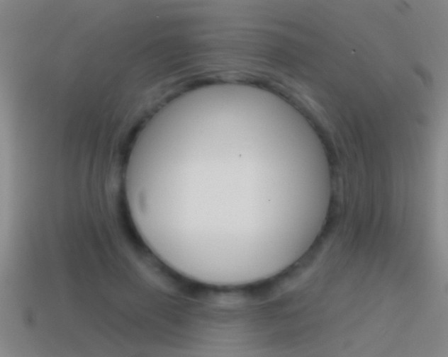 X0000114610645200910200941